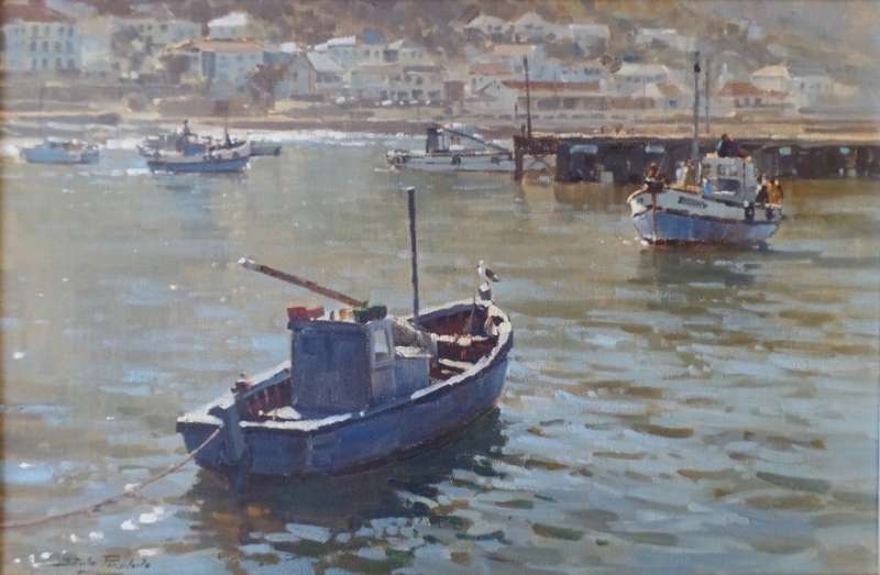 DINO PARAVANO - KALK BAY