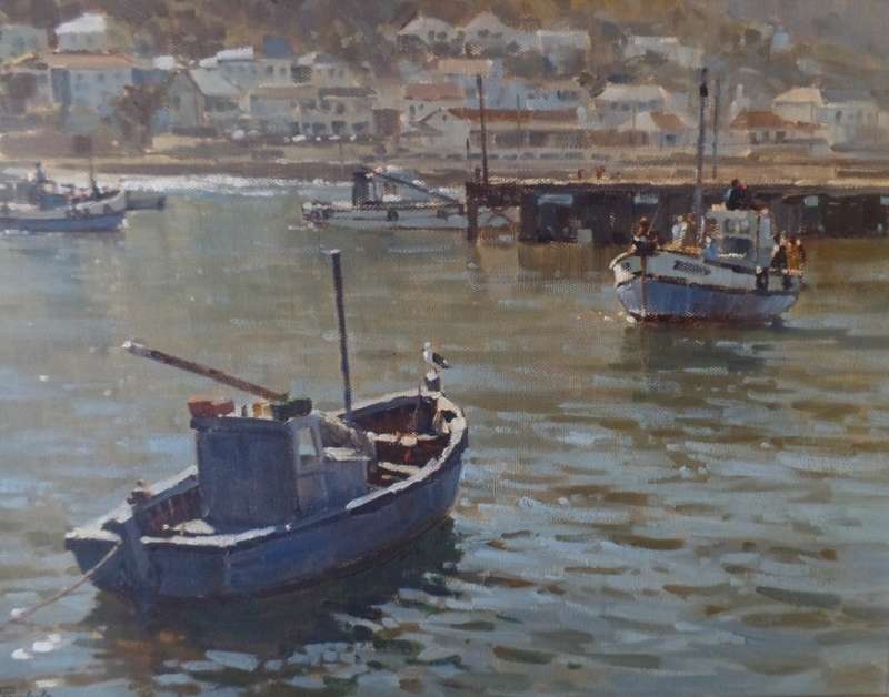 DINO PARAVANO - KALK BAY