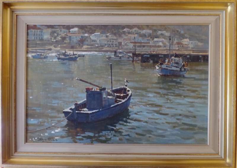 DINO PARAVANO - KALK BAY