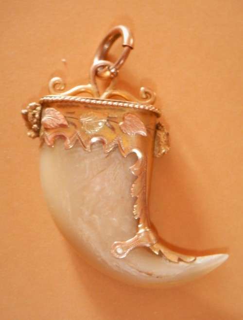 ANTIQUE TIGER CLAW PENDANT MOUNTED IN ETCHED YELLOW AND ROSE GOLD