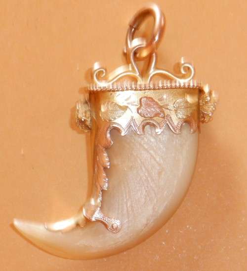 ANTIQUE TIGER CLAW PENDANT MOUNTED IN ETCHED YELLOW AND ROSE GOLD