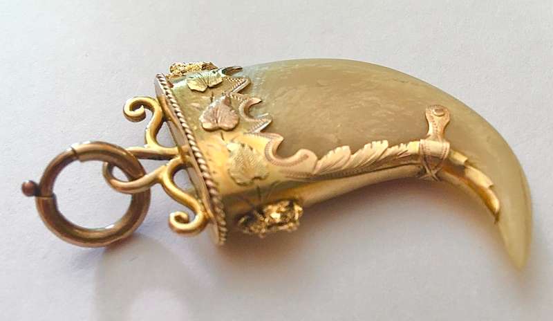 ANTIQUE TIGER CLAW PENDANT MOUNTED IN ETCHED YELLOW AND ROSE GOLD