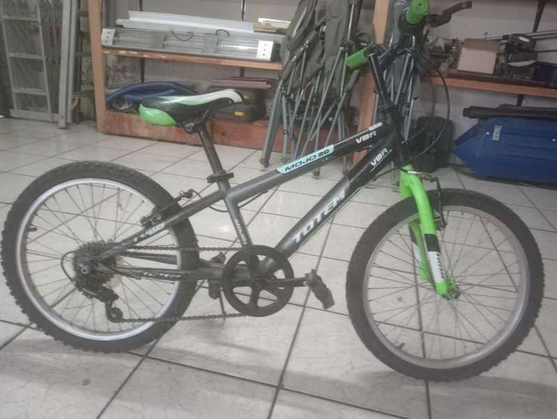20` Totem Mojo Mountain Bike 6 speed