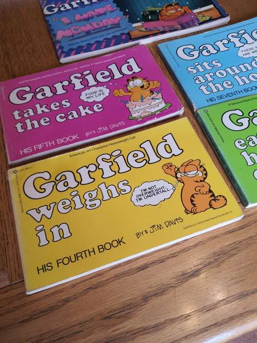 6 Old Garfield Books