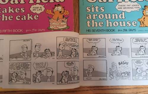 6 Old Garfield Books