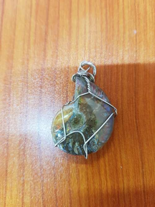 Ammonite Opalescent Fossil Wire Wrapped Pendant