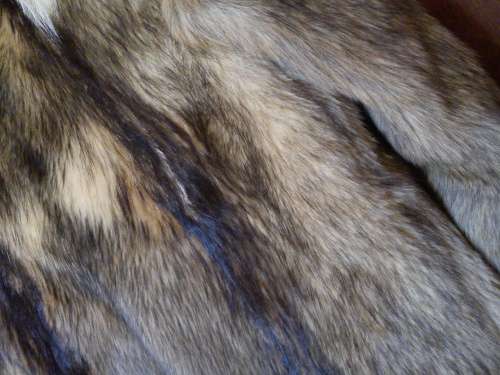 Genuine fox fur coat/jacket designed by Carlo Beetz