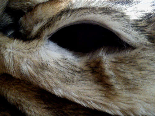 Genuine fox fur coat/jacket designed by Carlo Beetz