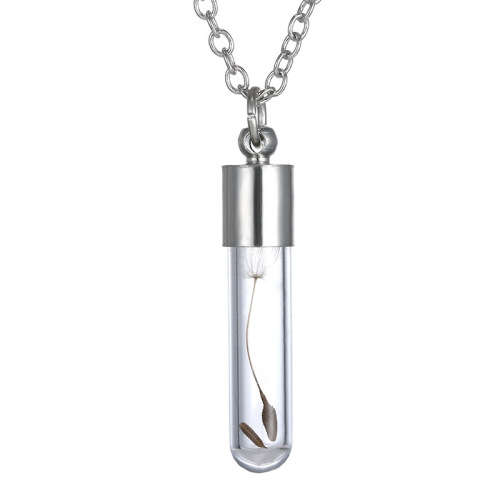 Silver Real Dandelion Seeds In Glass Wish Bottle Chain Necklace Pendant