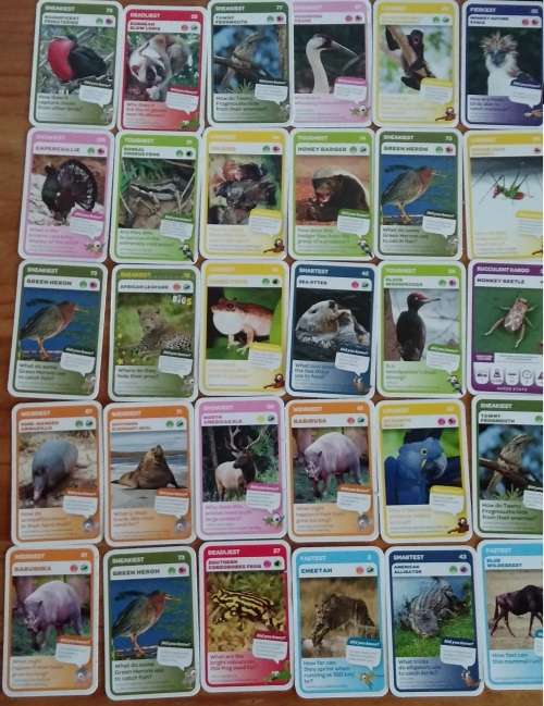 HUGE LOT OF ASSORTED CARDS