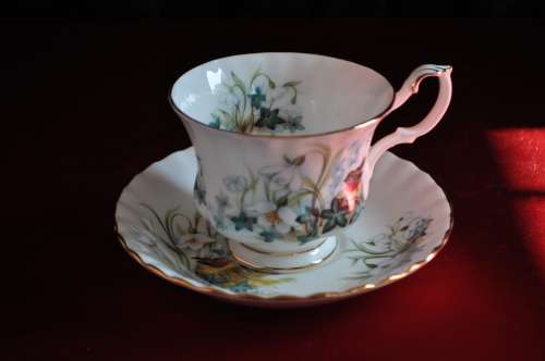 Royal Albert Country Life Series "Ivy Glade" Duo