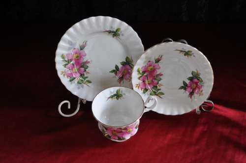 Royal Albert "Prairie Rose" Trio