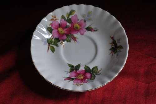 Royal Albert "Prairie Rose" Trio