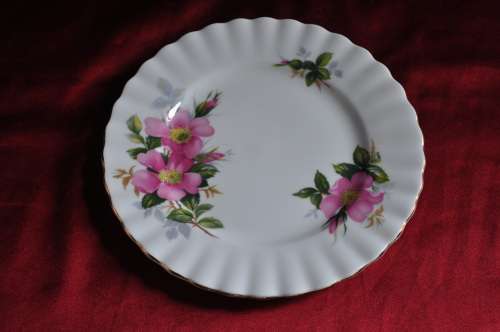 Royal Albert "Prairie Rose" Trio