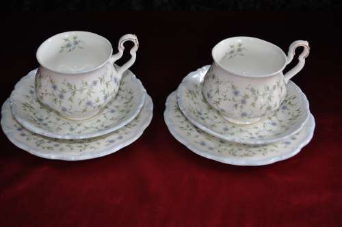 Royal Albert "Caroline" Tea For Two  ---  Collections or Courier Please!