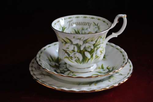 Royal Albert Flower Of The Month January "Snowdrops"  Trio