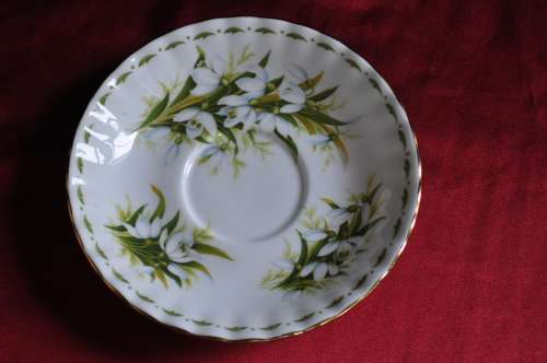 Royal Albert Flower Of The Month January "Snowdrops"  Trio