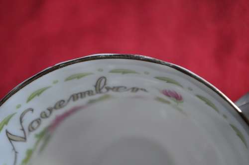 Royal Albert Flower Of The Month November "Chrysanthemum" Tennis Duo