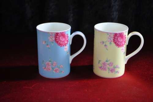 Royal Albert "Adora" Coffee Mugs x 2