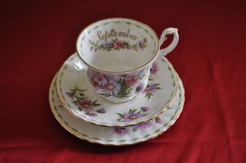 Royal Albert Flower Of The Month September "Michaelmas Daisy"