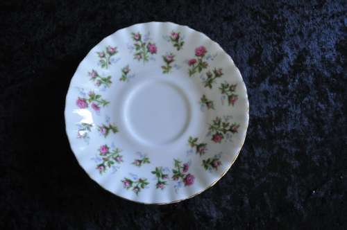 Royal Albert "Winsome" 11 Saucers.