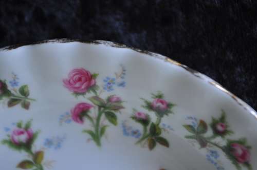 Royal Albert "Winsome" 11 Saucers.
