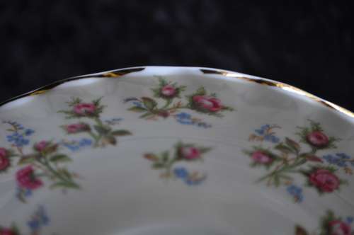 Royal Albert "Winsome" 11 Saucers.