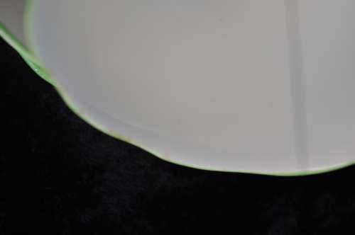 Royal Albert Crown China "Greenwood Tree" Trio