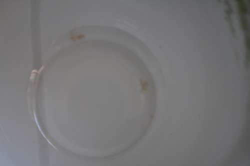 Royal Albert Crown China "Greenwood Tree" Trio