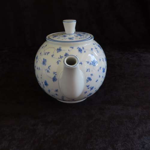 Arzberg Germany "Blaubluten" 21 Piece Tea Set.