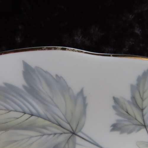 Royal Albert "Silver Maple" 6 x Dinner Plates