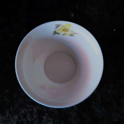 Shelley `Begonia` Milk Jug & Sugar Bowl (13427)