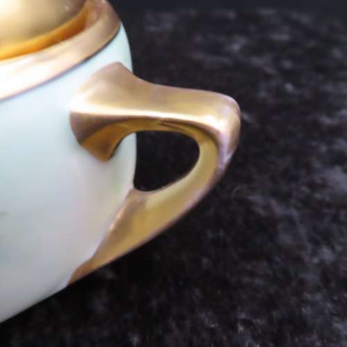 Hutchenreuter Bavaria 21 Piece  Hand Painted Tea Set.