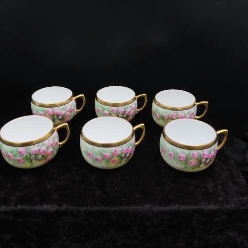 Hutchenreuter Bavaria 21 Piece  Hand Painted Tea Set.