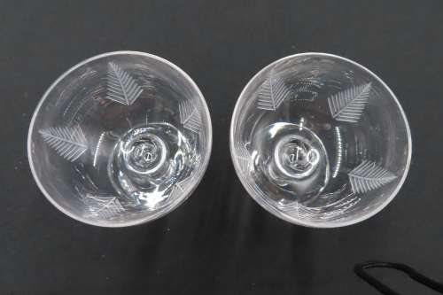 Stuart Crystal Vintage Fern Pattern Glasses x 2