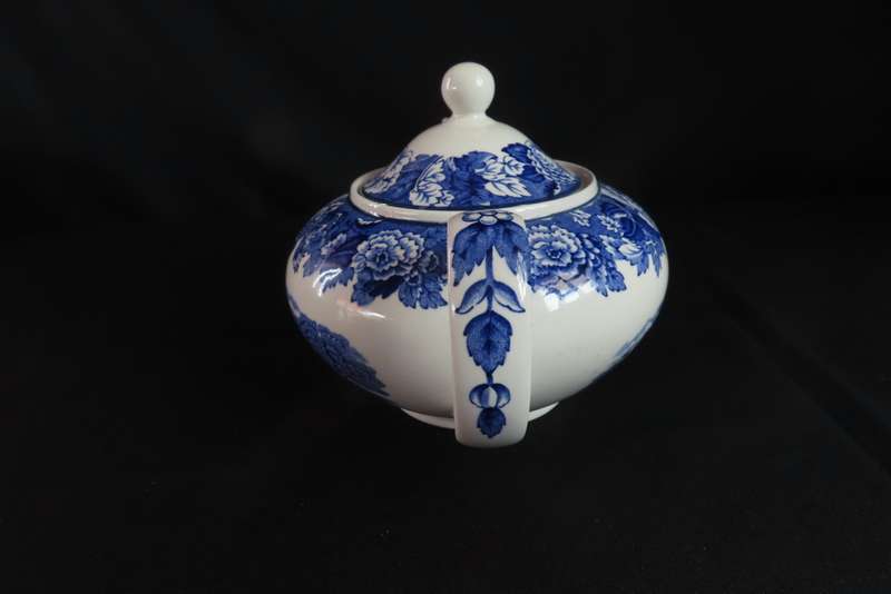 ENOCH WOOD`S ENGLISH SCENERY TEA POT.