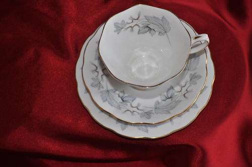 Royal Albert "Silver Maple" Trio