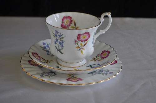 Royal Albert "Derwent" Trio