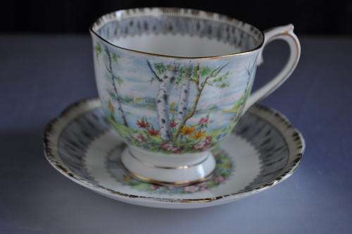 Royal Albert "Silver Birch" Duo