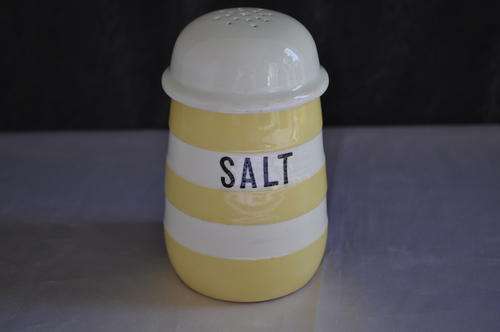 T G Green Cornish Kitchen Ware - Salt Shaker  -- Damage to the lid.