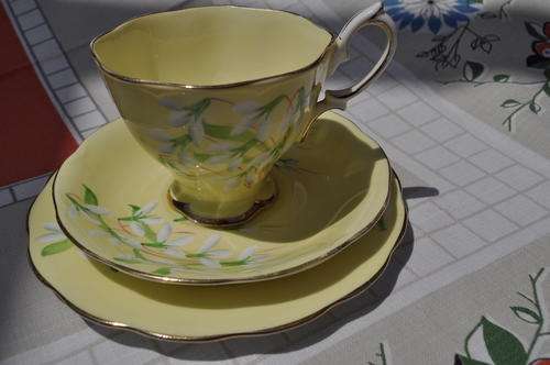 Royal Albert "Laurentian Snowdrop" Trio  --  1940's