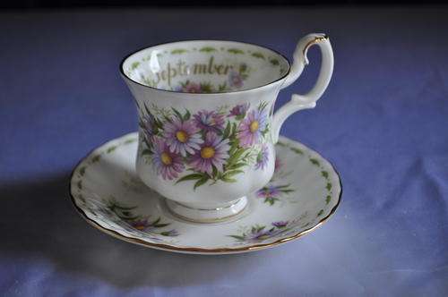 Royal Albert Flower Of The Month September "Michaelmas Daisy" Coffee Duo