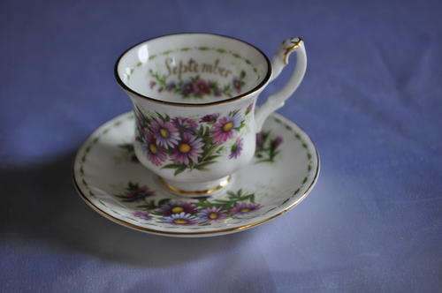 Royal Albert Flower Of The Month Miniature September "Michaelmas Daisy" Duo