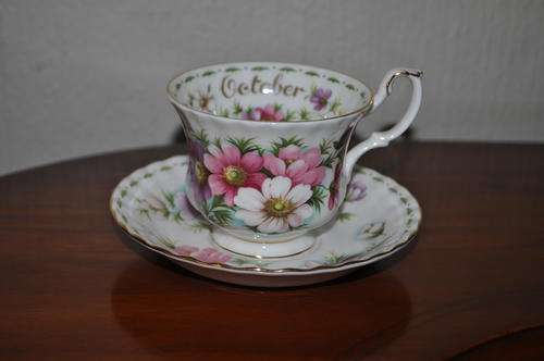 Royal Albert Flower Of The Month October "Cosmos" Tea Duo