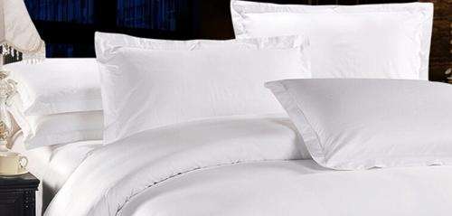 Luxurious 500TC Egyptian Cotton  - Plain White Pillow Case Set (King Size)