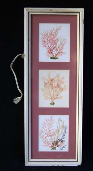 Miniature Water Colour Triptich Painting by Ilse Gerlach Cape Town