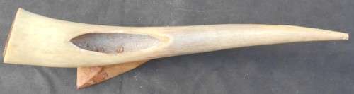 Large Mounted Animal Horn Ornament
