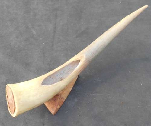 Large Mounted Animal Horn Ornament