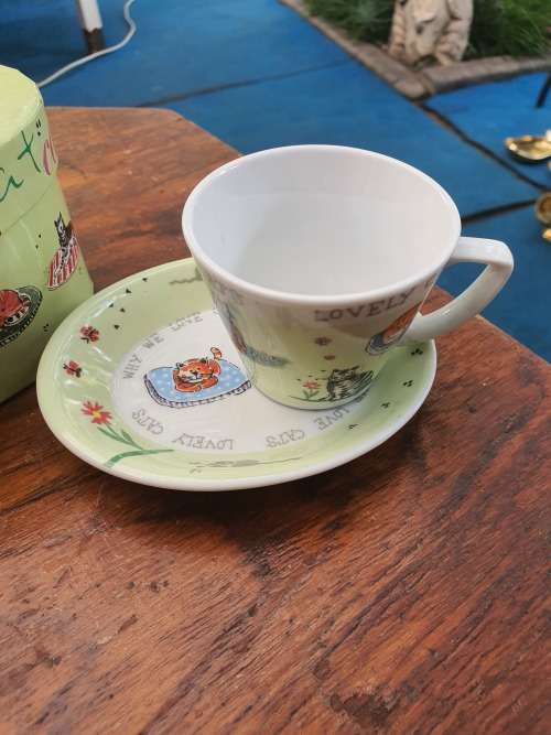 STUNNING CAT CAT TEACUP AND SAUCER IN BOX .