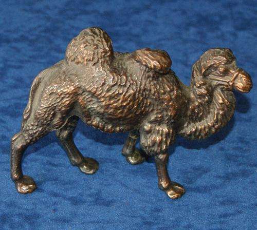 GORGEOUS BRONZE CAMEL@@@ CRAAZZYYY R1 START